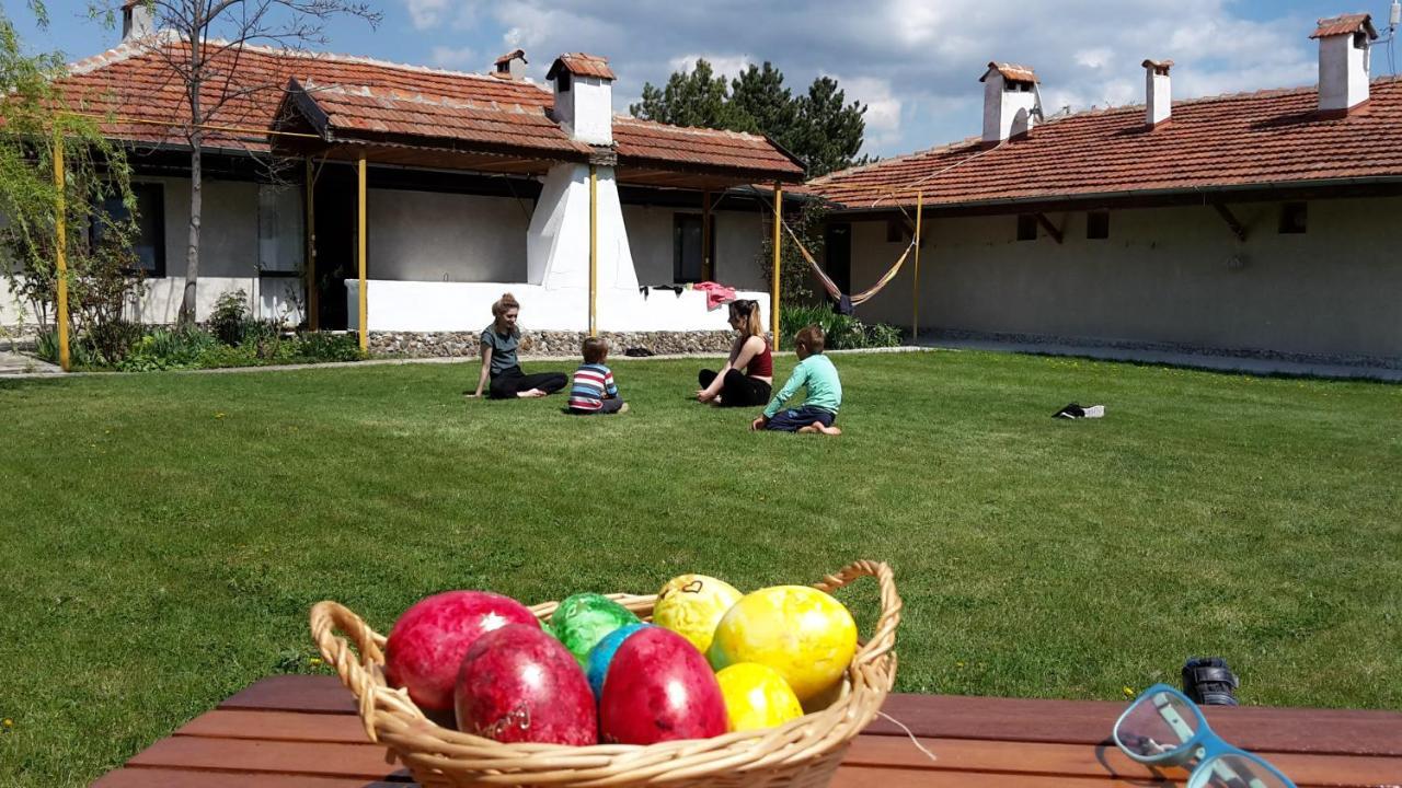 Family Hotel Belvedere Dulgopol Exterior photo