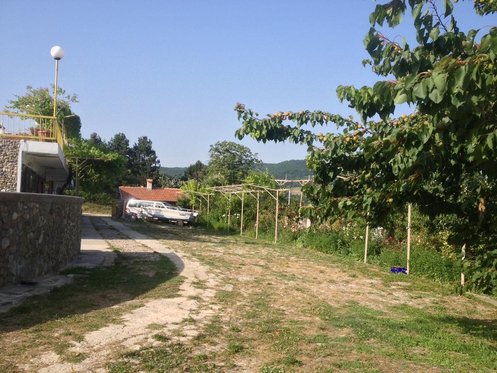 Family Hotel Belvedere Dulgopol Exterior photo