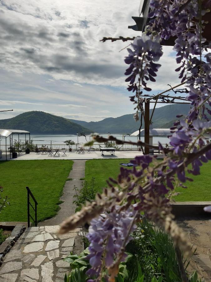 Family Hotel Belvedere Dulgopol Exterior photo
