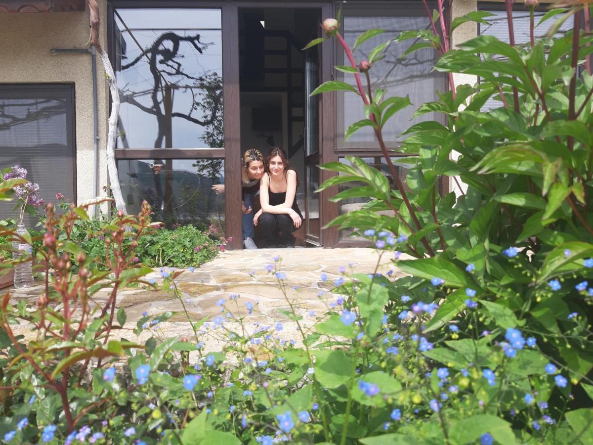 Family Hotel Belvedere Dulgopol Exterior photo